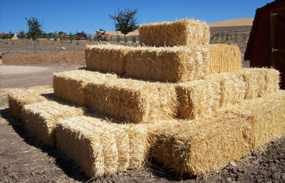 Hay Stack