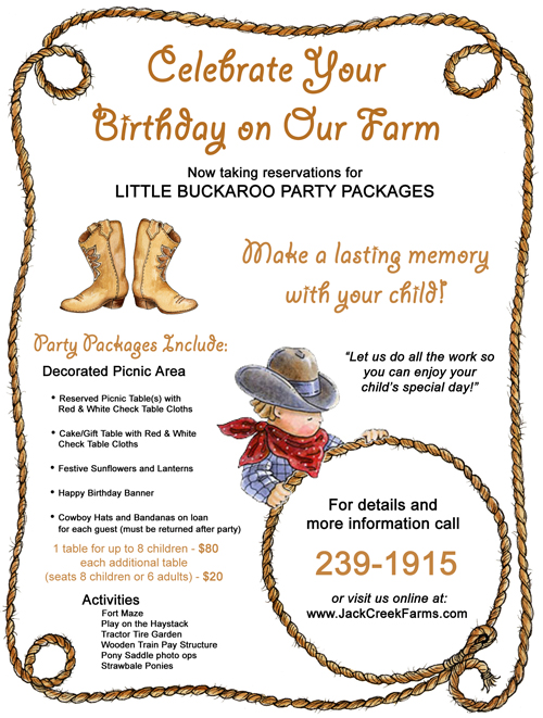 Little Buckaroo Birthday Party